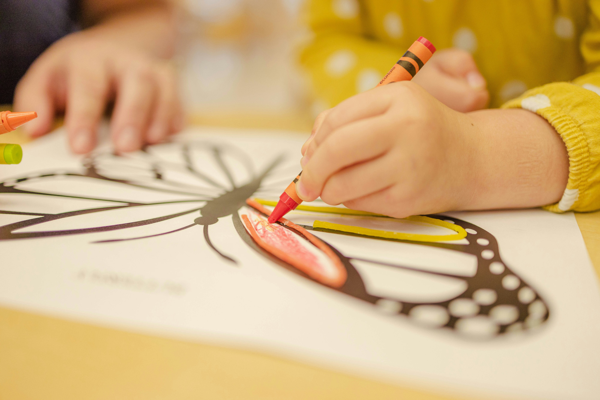 child holding an orange crayon and coloring in a butterfly.